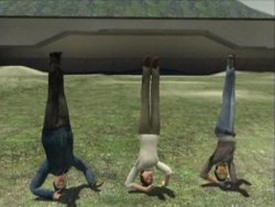 Serene motherfuckers staring at the yoga losers.